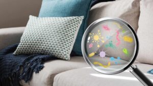 Come sbarazzarti dei germi annidati nel divano: tornerà pulito