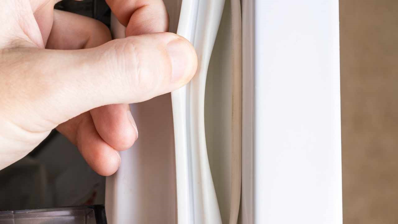 guarnizioni frigo