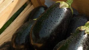 Non fare questo errore quando conservi le melanzane