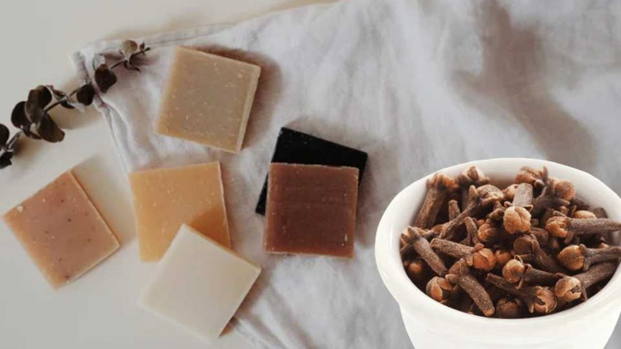 Saponetta e chiodi di garofano