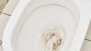 Perché il fondo del water diventa nero e come risolvere