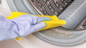 Trucchetto efficace per per togliere la muffa dalla guarnizione della lavatrice
