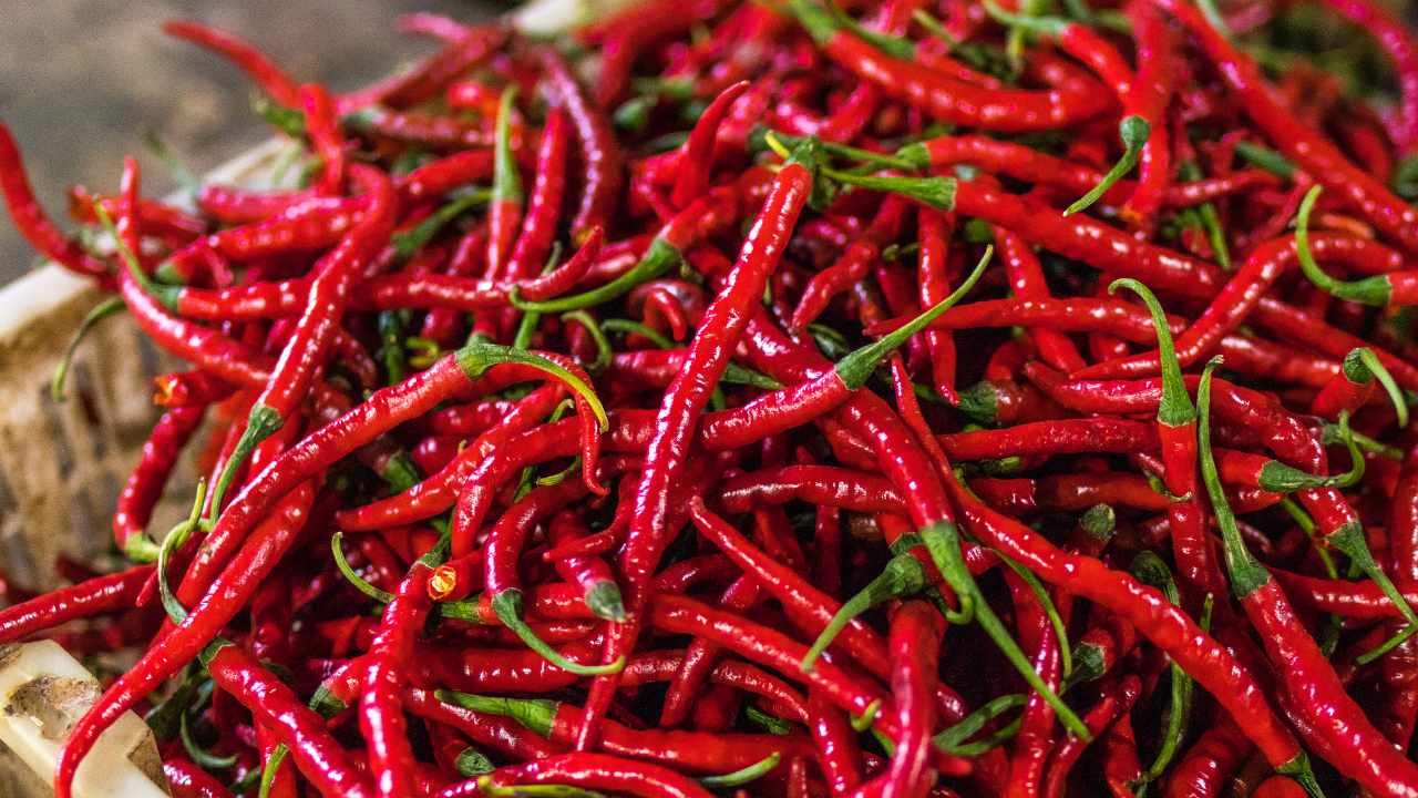 peperoncino rosso