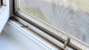 Il metodo segreto per zanzariere pulite: veloce, geniale e zero fatica