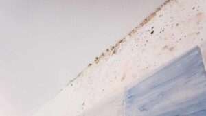 Elimina in pochi minuti le macchie di umidità grazie a questo trucchetto