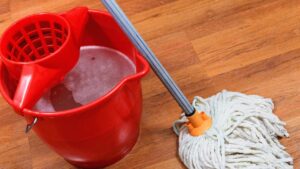 Pulisci i pavimenti con questi oli essenziali: addio per sempre a formiche e scarafaggi