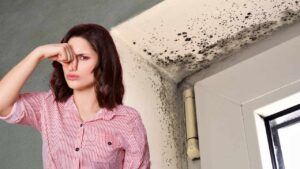 Come eliminare la puzza di muffa in casa