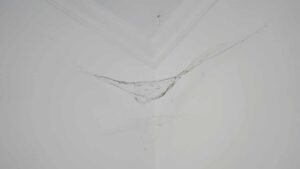 Tutti i modi per evitare le ragnatele in casa