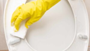 Tavoletta del wc ingiallita, così tornerà bianchissima