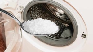 Sale grosso nel cestello della lavatrice, perché tutti lo stanno aggiungendo quando fanno il bucato