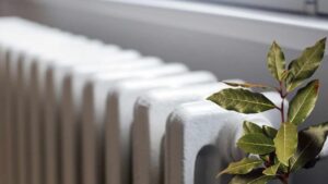 Metti anche tu l’alloro sul termosifone: ti svelo a cosa serve questo trucchetto