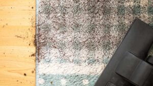 Durante questi giorni di festa anche i tuoi tappeti si sono sporcati? Rinfrescali così