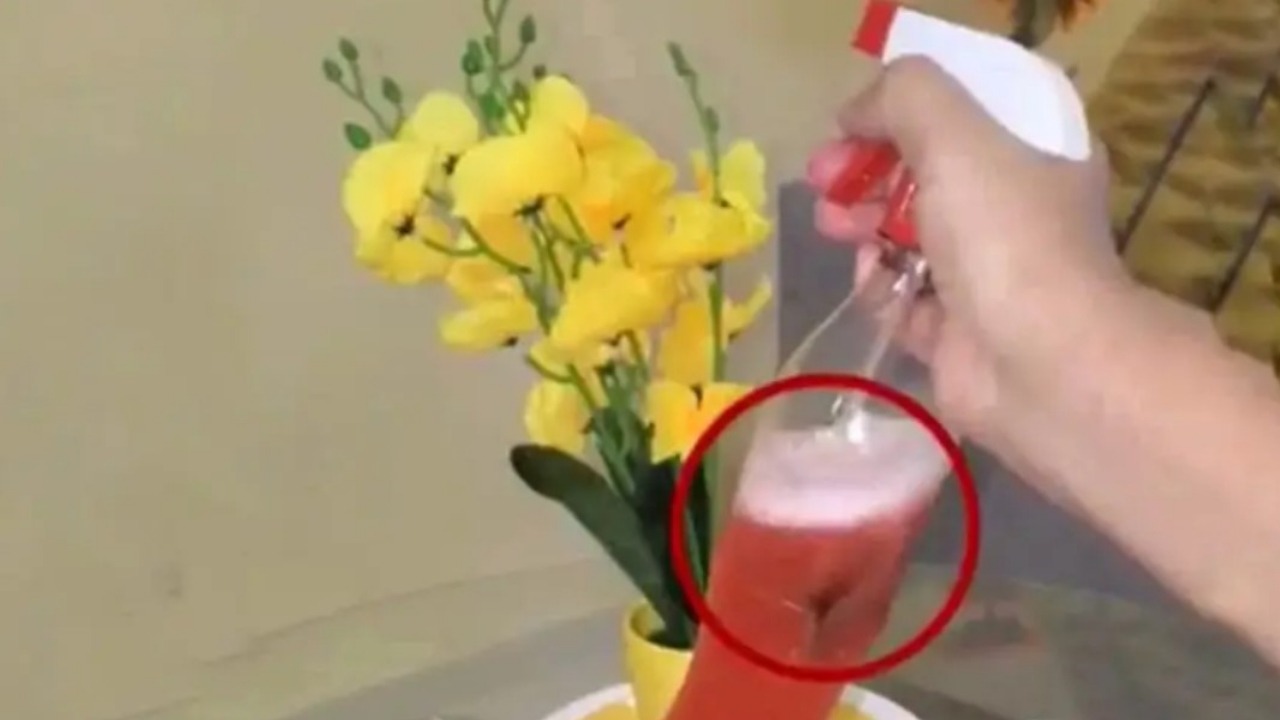 Miscela contro gli scarafaggi in casa