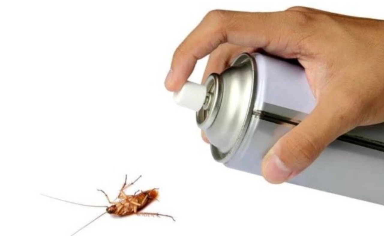 Repellente contro gli insetti