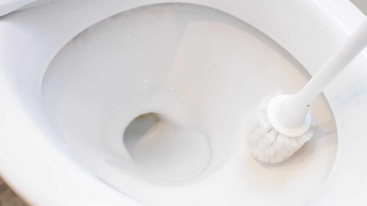 Spazzolone nel WC
