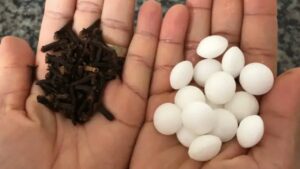 Tutti i consigli per eliminare i cattivi odori in bagno e lasciare un odore piacevole