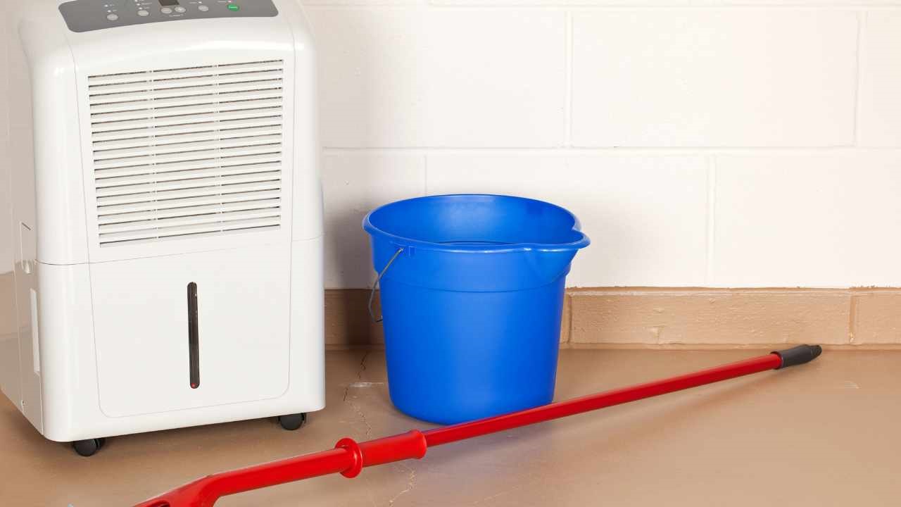 deumidificatore pulire