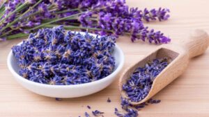 Come fare la lavanda in polvere e usarla per profumare (e non solo) tutta la casa