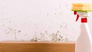 3 ingredienti che ti aiuteranno ad eliminare la muffa in modo facile: sono già nella tua cucina