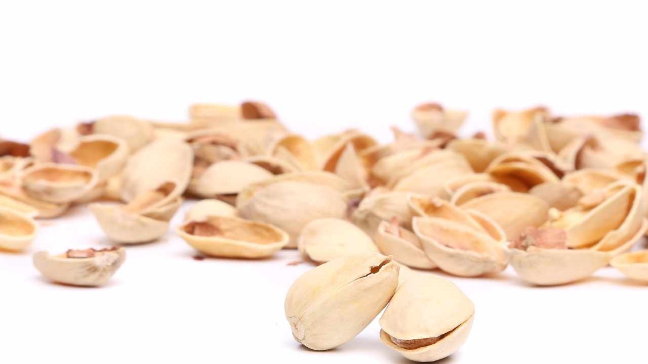 pistacchi