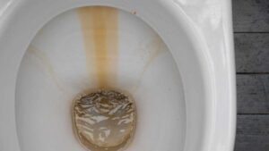 Anche il tuo wc presenta queste macchie? Ti svelo come ho risolto, ora è splendente