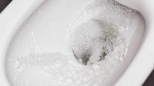 Base e bordo del wc splendenti con questo metodo