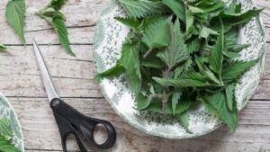 Ortica: un rimedio naturale per affrontare 20 problemi di salute comuni