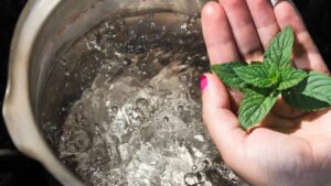 Mia nonna metteva bollire 3 foglie di menta: ecco cosa succedeva dopo 10 minuti