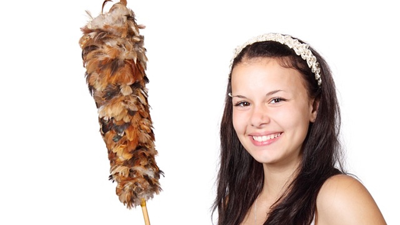 scovolino per polvere