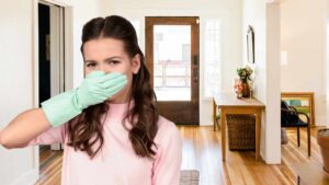 Due piante magiche per un’aria sempre profumata in casa: puoi dire addio agli odori sgradevoli