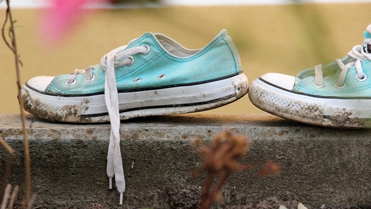 scarpe da ginnastica