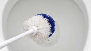 Con questo metodo lo scopino del wc sarà sempre pulito