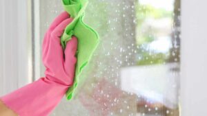 Usare l’acido citrico per pulire i vetri: attenzione a non sbagliare