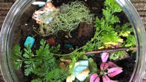 Come creare e curare un ecosistema in casa: i segreti per un risultato incantevole