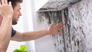 Trucchi e soluzioni per eliminare la muffa dietro armadi e mobili