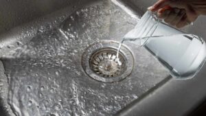 Forse non lo sai, ma queste sono le 5 cose che non devi mai gettare nel lavello