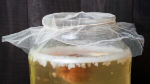 Cos’è l’acqua fermentata, come si prepara e come si usa