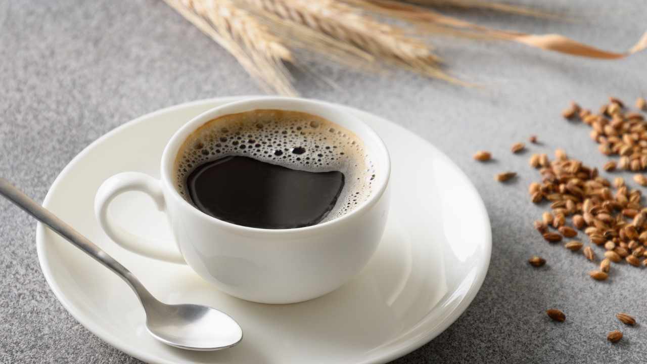 bevanda caffè d'orzo
