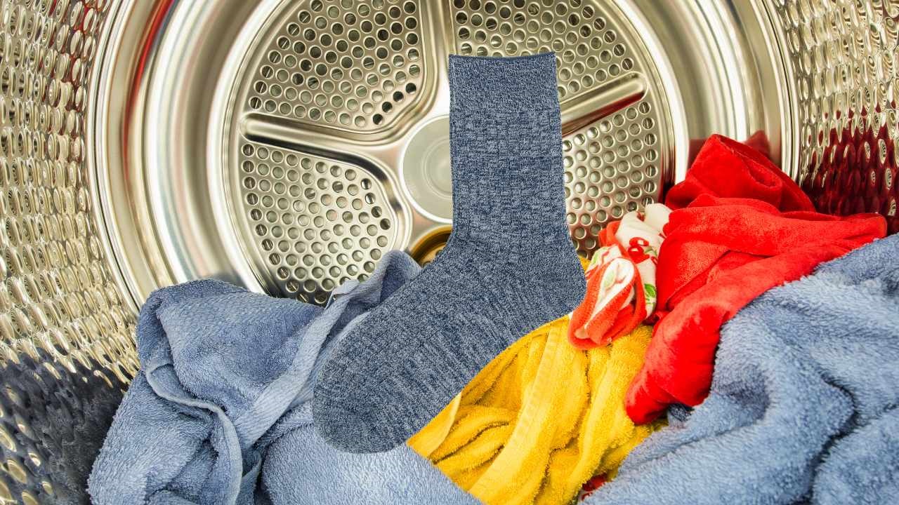 calzino asciugatrice
