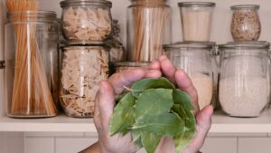 È arrivato il caldo e stanno tornando anche loro, ma con questi rimedi fai da te la tua dispensa sarà libera e pulita