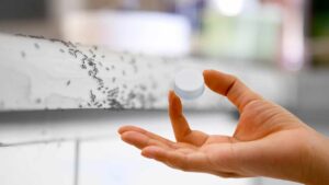 Come allontanare le formiche dalla dispensa con il trucchetto del tappo