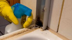 Tutte le strategie più efficaci per eliminare la muffa dalla cabina doccia