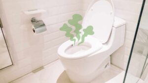 Versane qualche goccia nel wc, sentirai il profumo a distanza