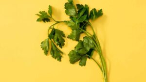 Prezzemolo, il segreto dello chef per farlo durare mesi: non marcisce più