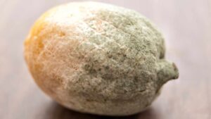 Se i tuoi limoni vanno subito a male, dovresti conoscere questi metodi per mantenere il succo fresco a lungo