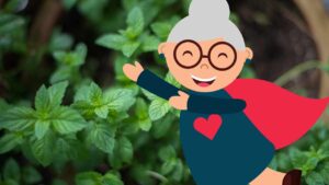 Menta sempre fresca tutto l’anno: ti svelo il trucchetto della nonna