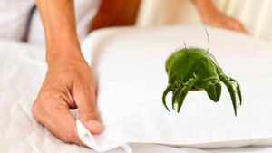 6 consigli per sbarazzarti degli acari in casa