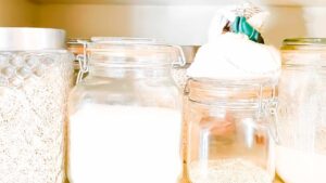 Ecco quali insetti potresti trovare nella cucina