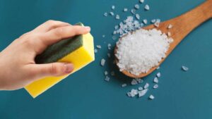 Sale grosso per le pulizie della tua casa, sai come usarlo? Te lo spiego io