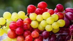 Uva, una medicina naturale per i tuoi reni: cosa dovresti sapere